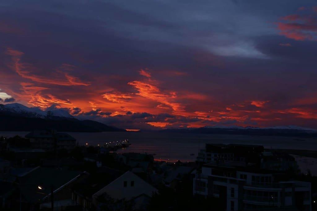 Los Arboles Apart Ushuaia Eksteriør billede